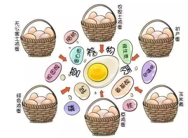 遍尋菜譜收集的雞蛋7中新吃法，第2中最好，第7中最營(yíng)養(yǎng)